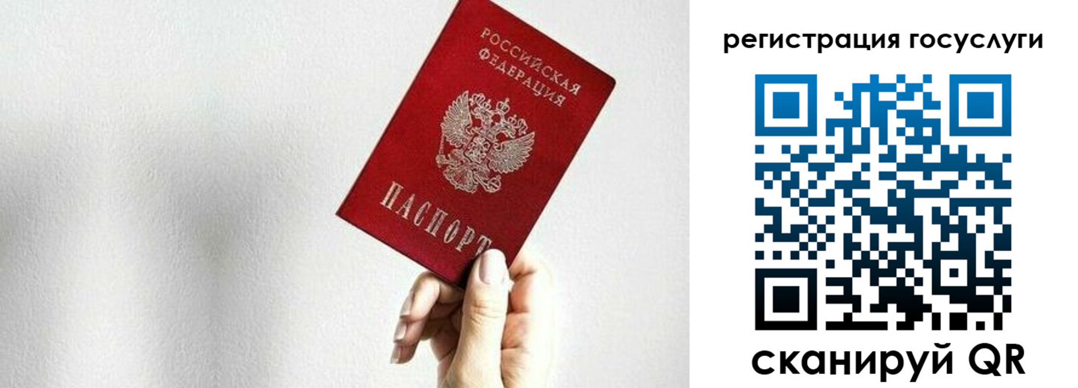 прописка гарантия в Реутове